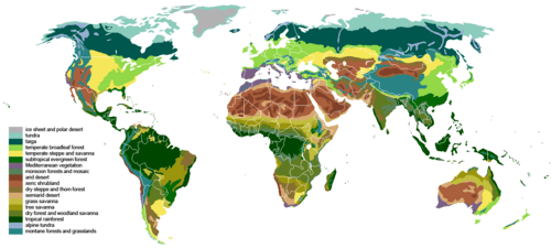 Biome|230