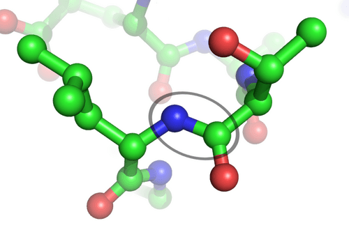 Peptide bond|230