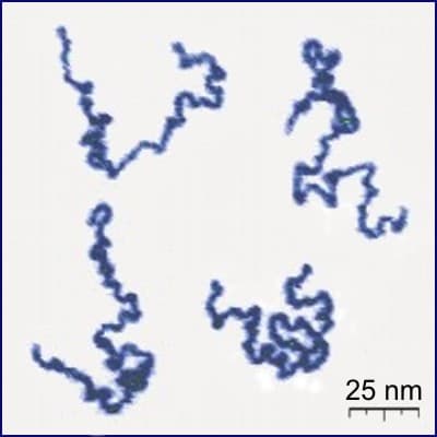 Polymer|230