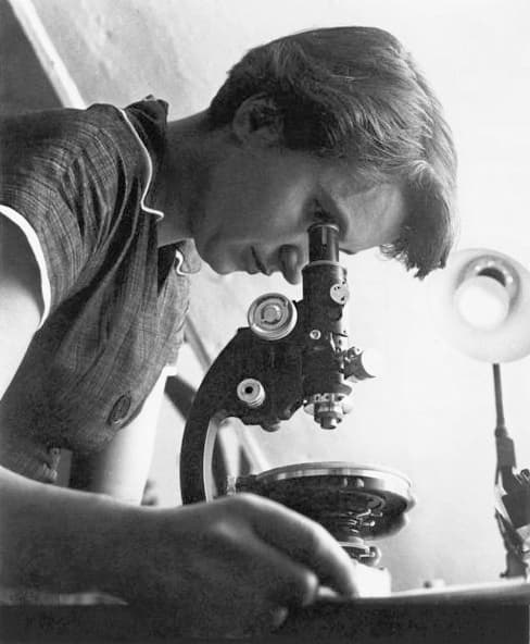 Rosalind Franklin|230